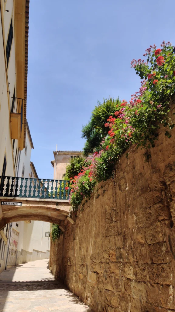 How to Spend a Long Weekend in Mallorca on a Budget arab baths